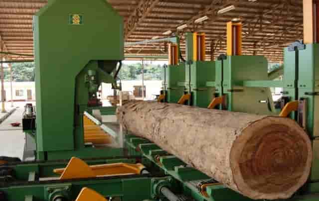 Filière Bois Gabon Industrie Fôret
