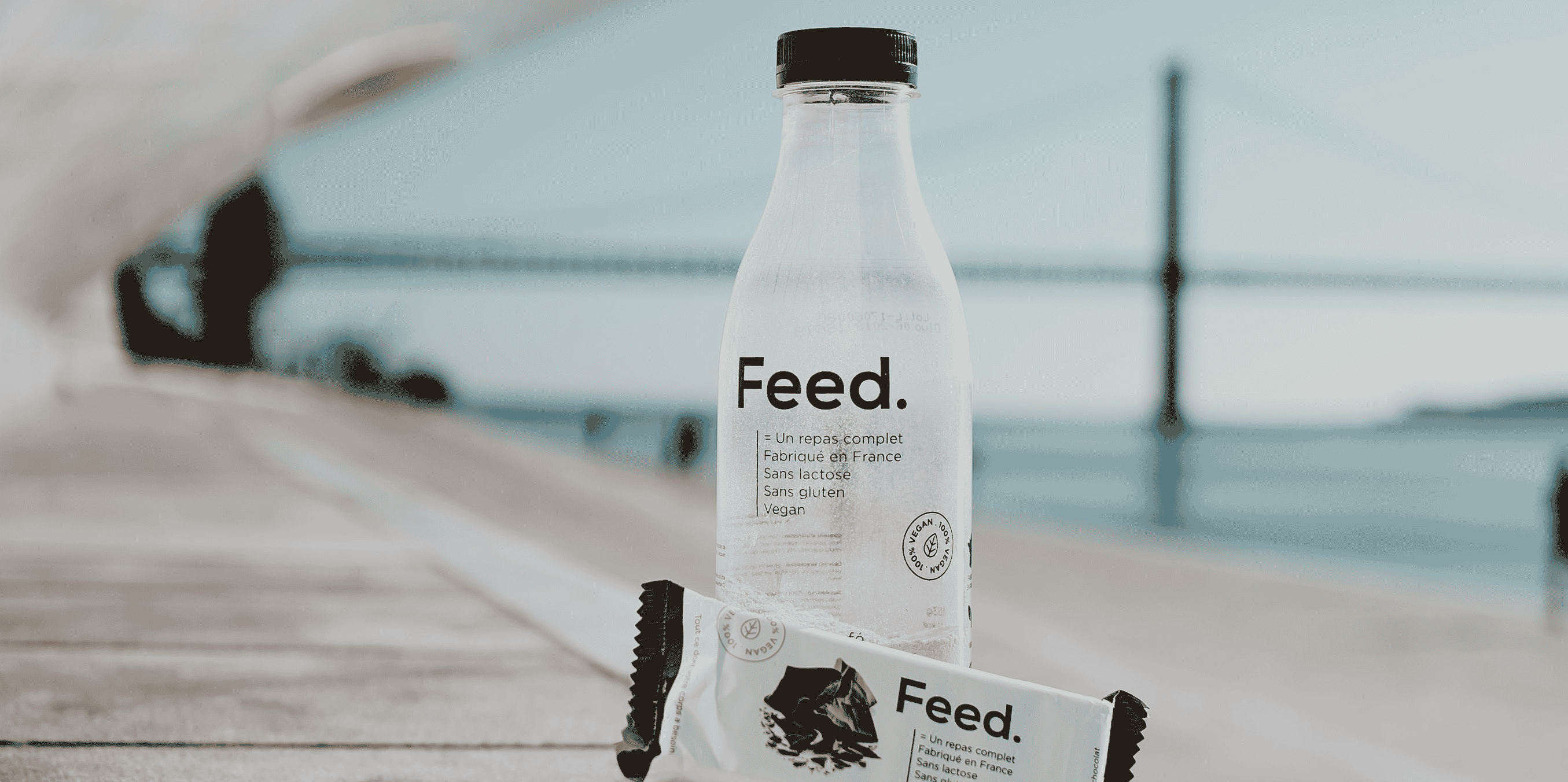 feed