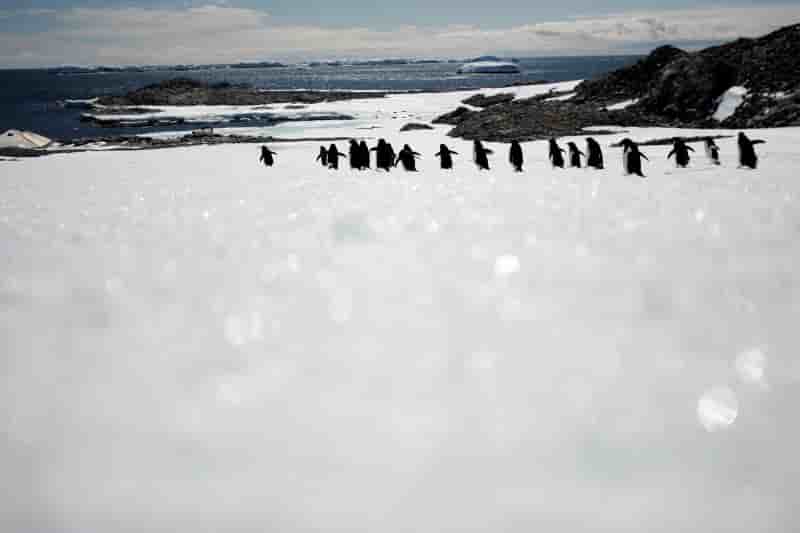 Refroidissement d’une partie de l’antarctique