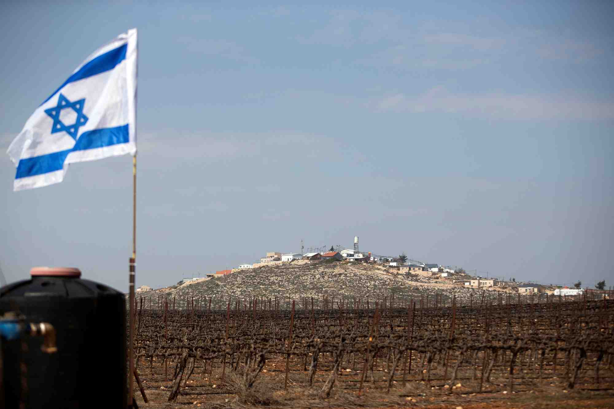 Une vue generale montre des vignobles pres de la colonie juive d'achiya en cisjordanie occupee par israel