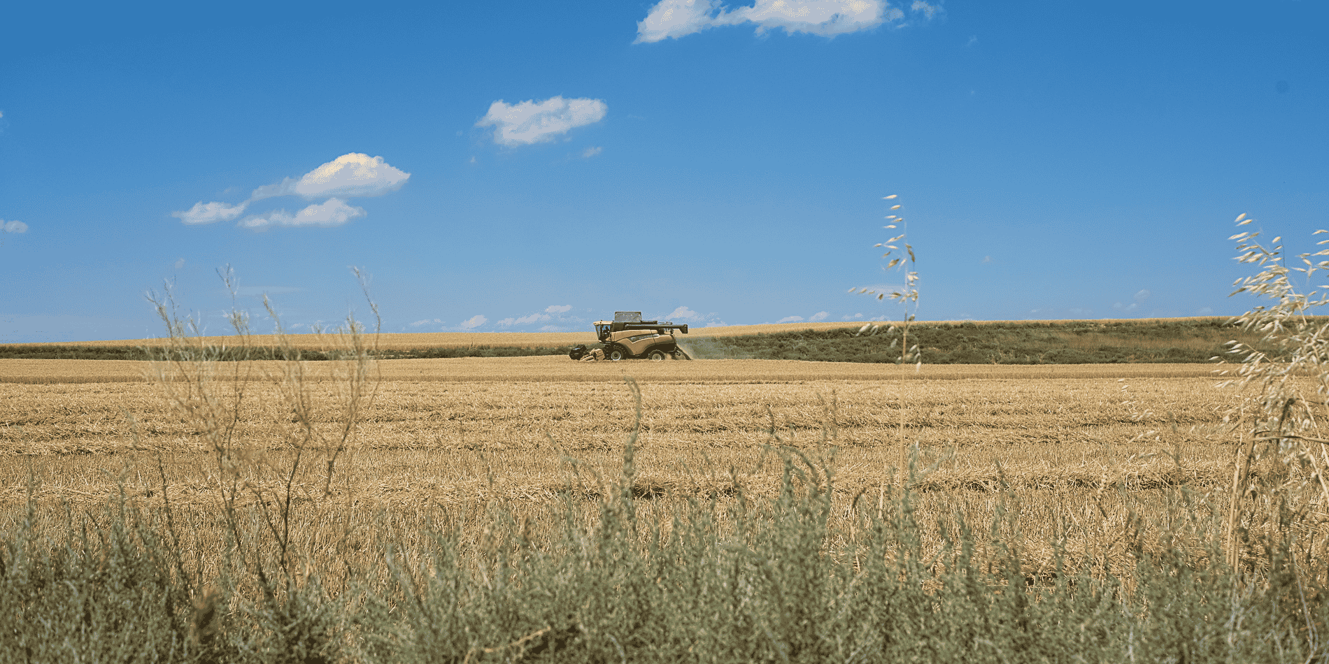 La coopérative d'agriculteurs Arterris annonce une collecte de céréales avec un rendement moyen de -10% en 2024 par rapport à l'année 2023, déjà historiquement faible.