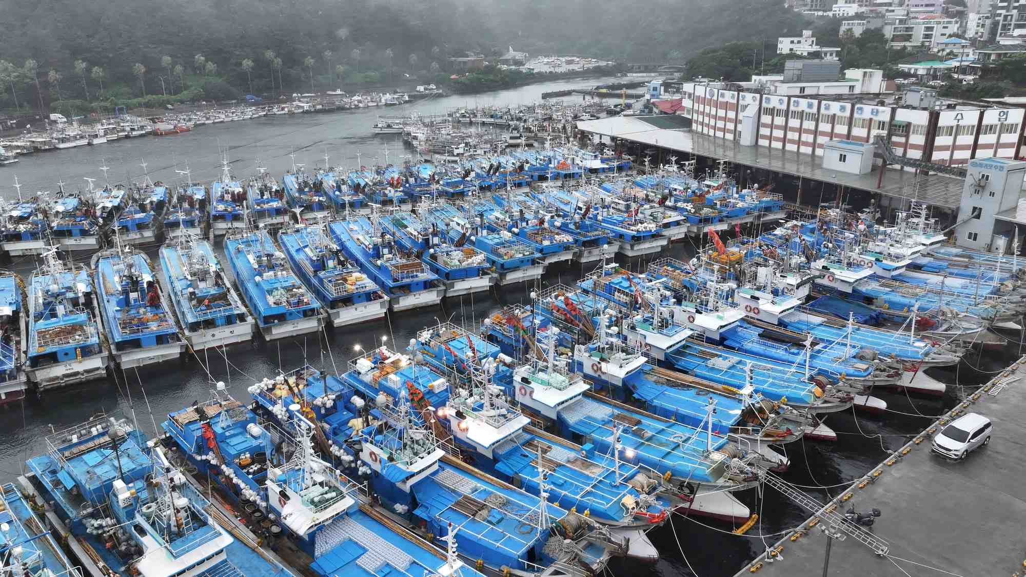 Des bateaux de peche sont ancres dans le cadre d'une evacuation