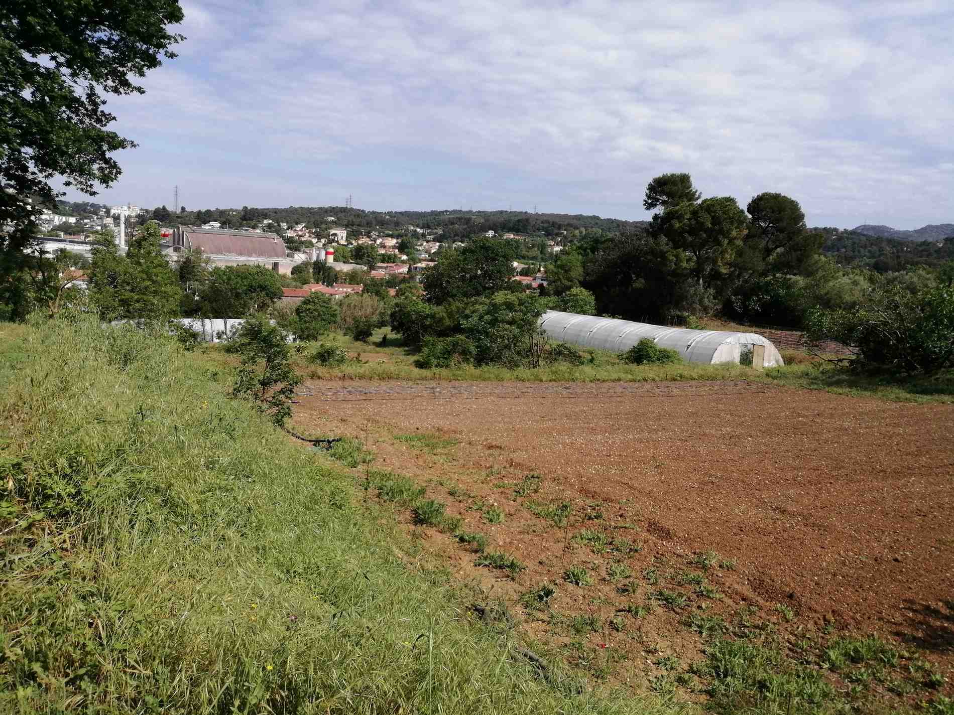agriculture urbaine marseille