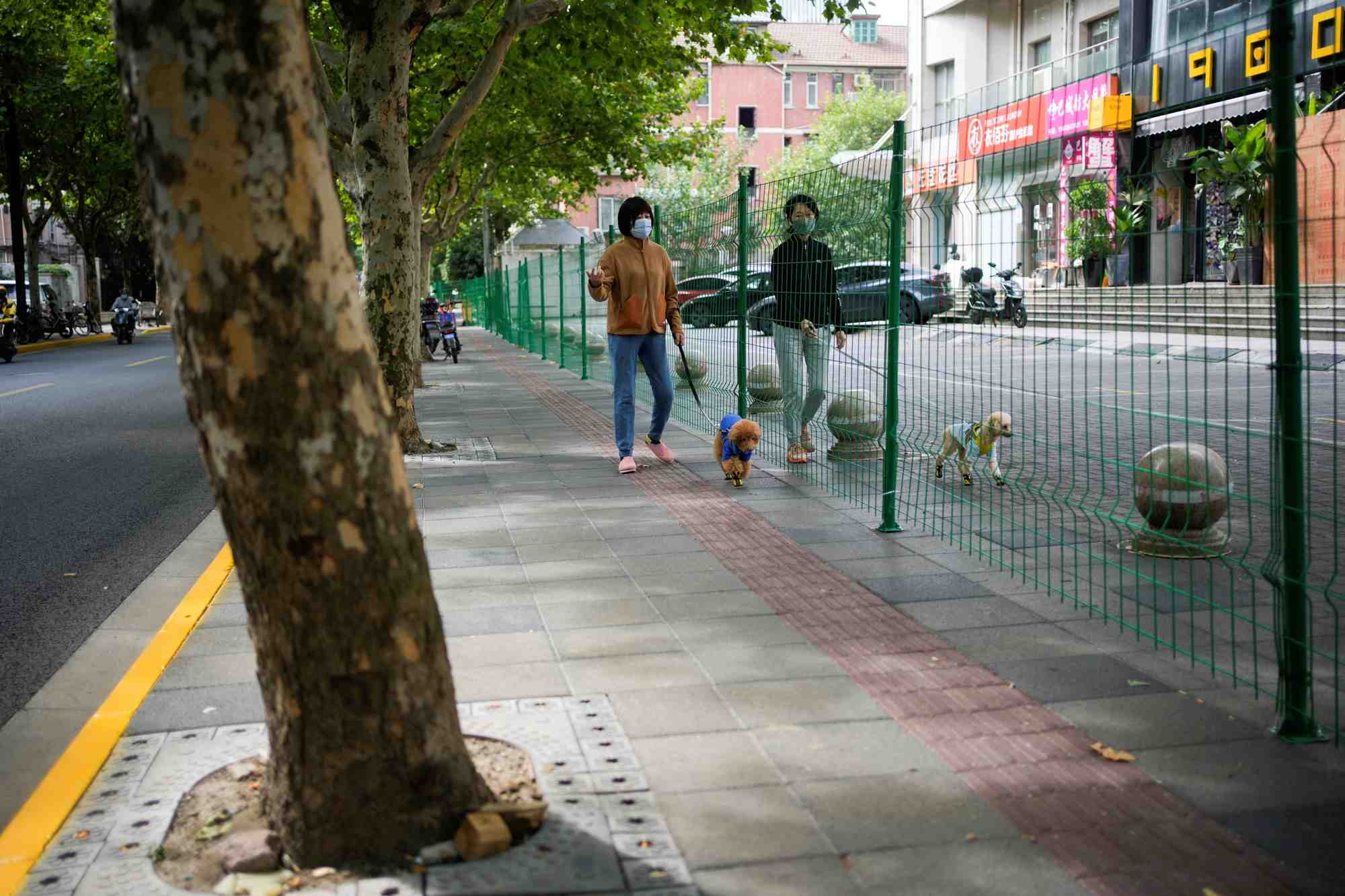 Des femmes accompagnees de chiens discutent a travers une barriere a shanghai