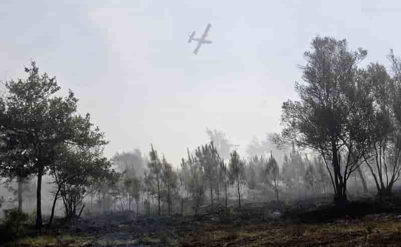 255 hectares de forets detruits par des feux en gironde