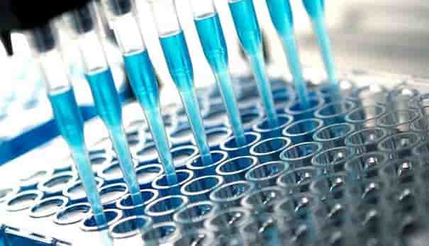 Biotech Week : OncoDiag : La nouvelle génération de tests de diagnostic des cancers