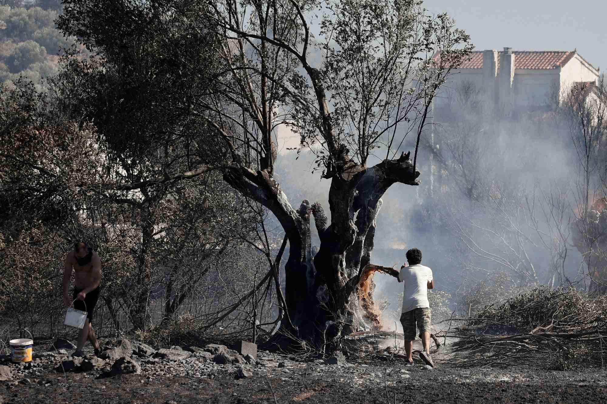 Incendie pres de koropi, en grece
