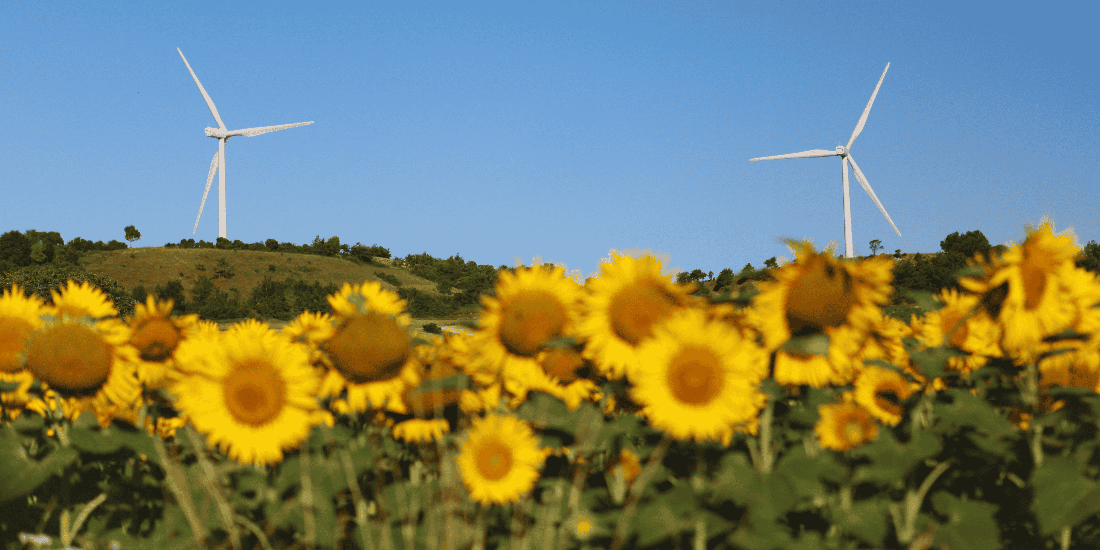 eoliennes agri