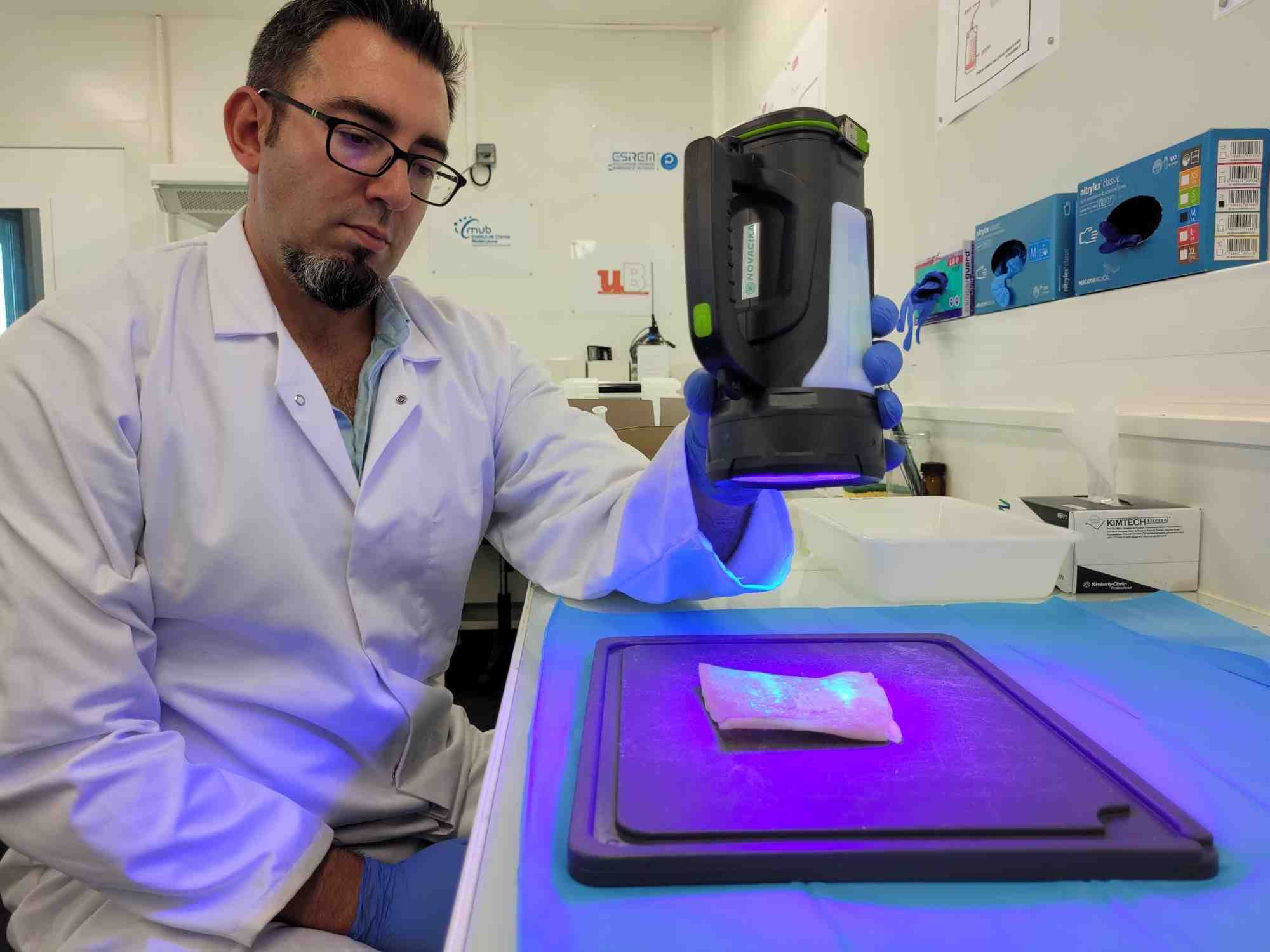 Application du produit Cohésives sur une peau artificielle qui simule une brûlure thermique chez l'homme.