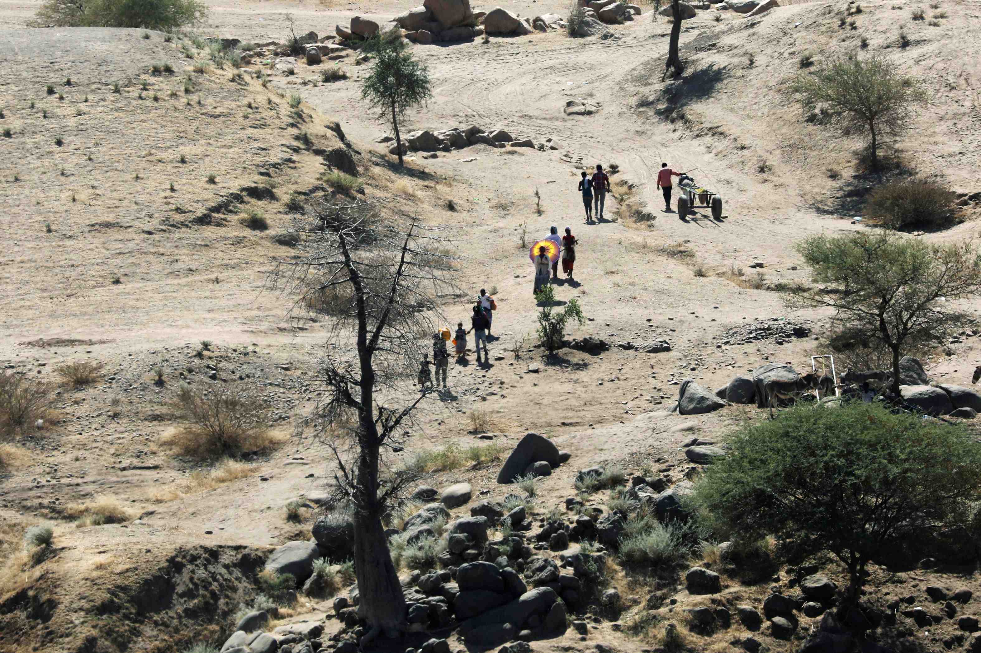 Le premier ministre ethiopien nie la possibilite d'une guerilla au tigre