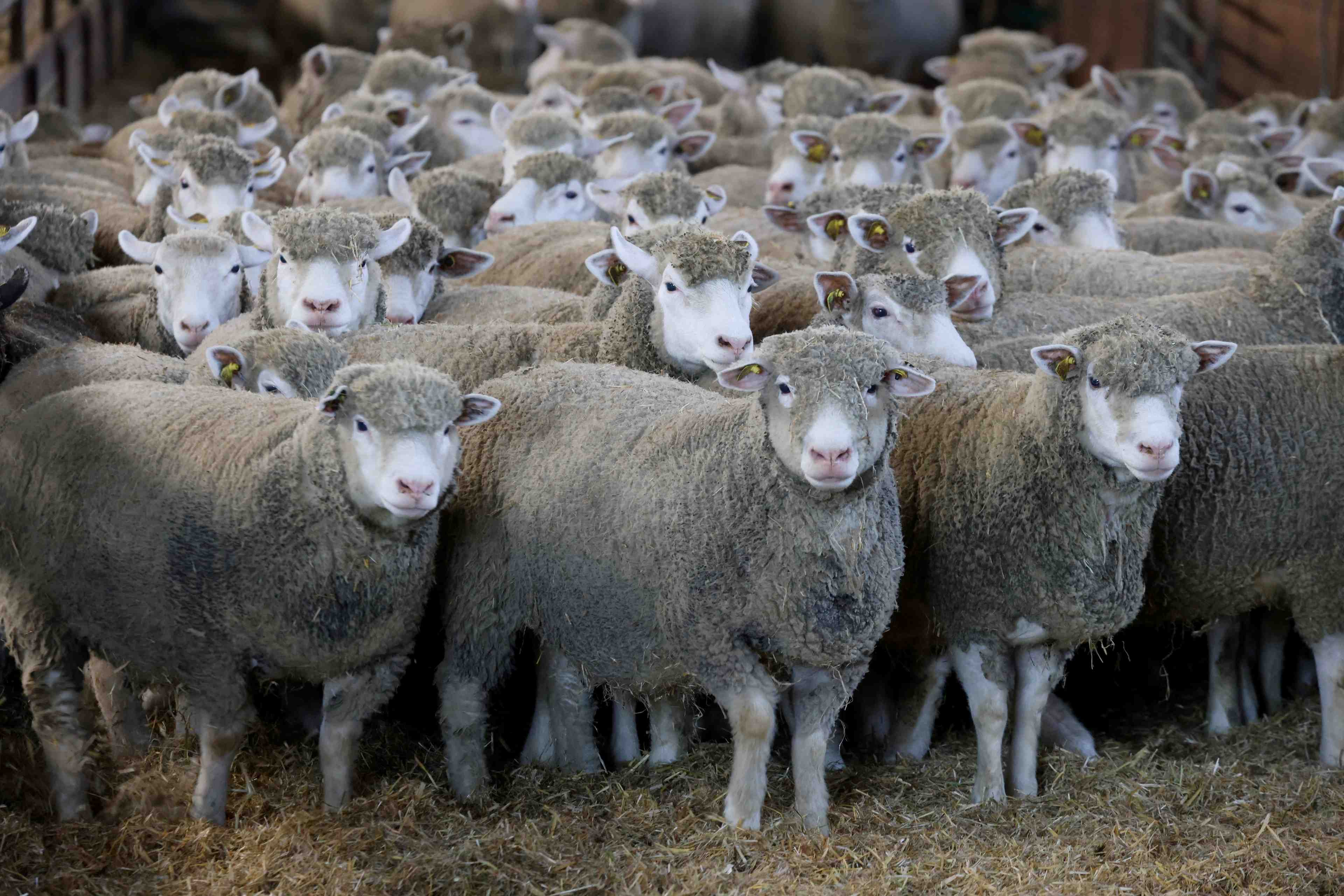 Ue: accord partiel dans les negociations sur l'agriculture