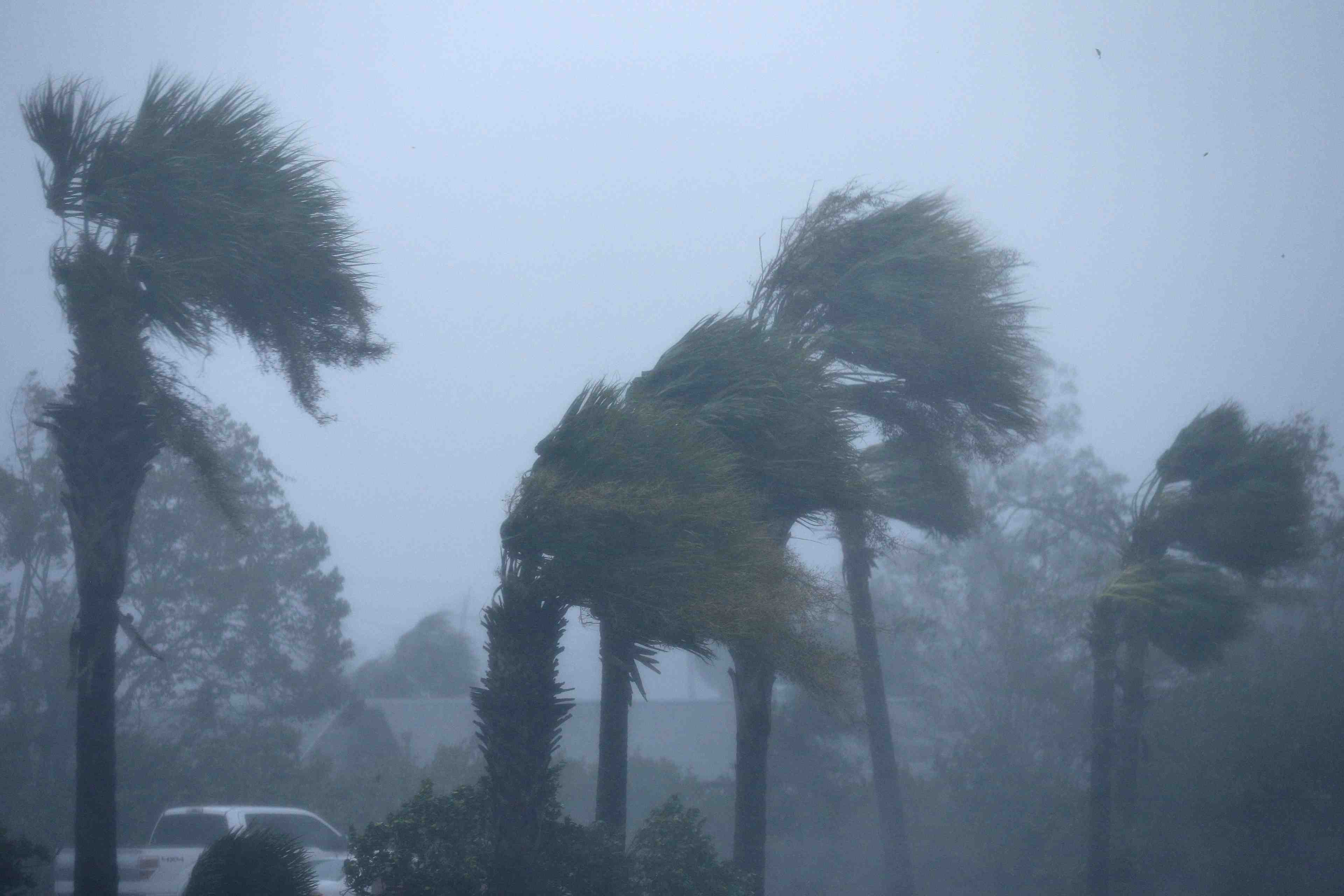 L'ouragan michael ravage la floride