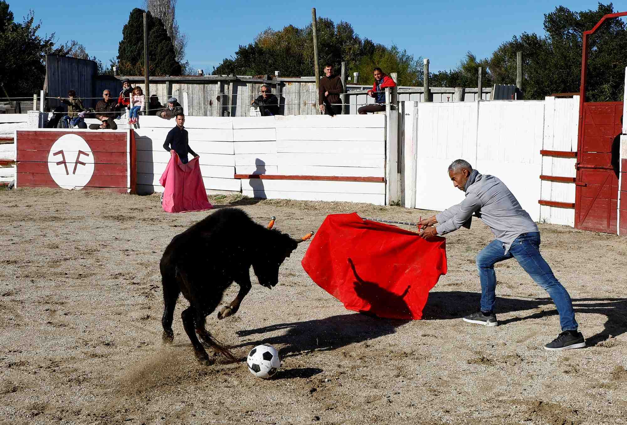 Un enseignant de l'ecole taurine d'arles aux arenes du monumental de gimeaux a arles