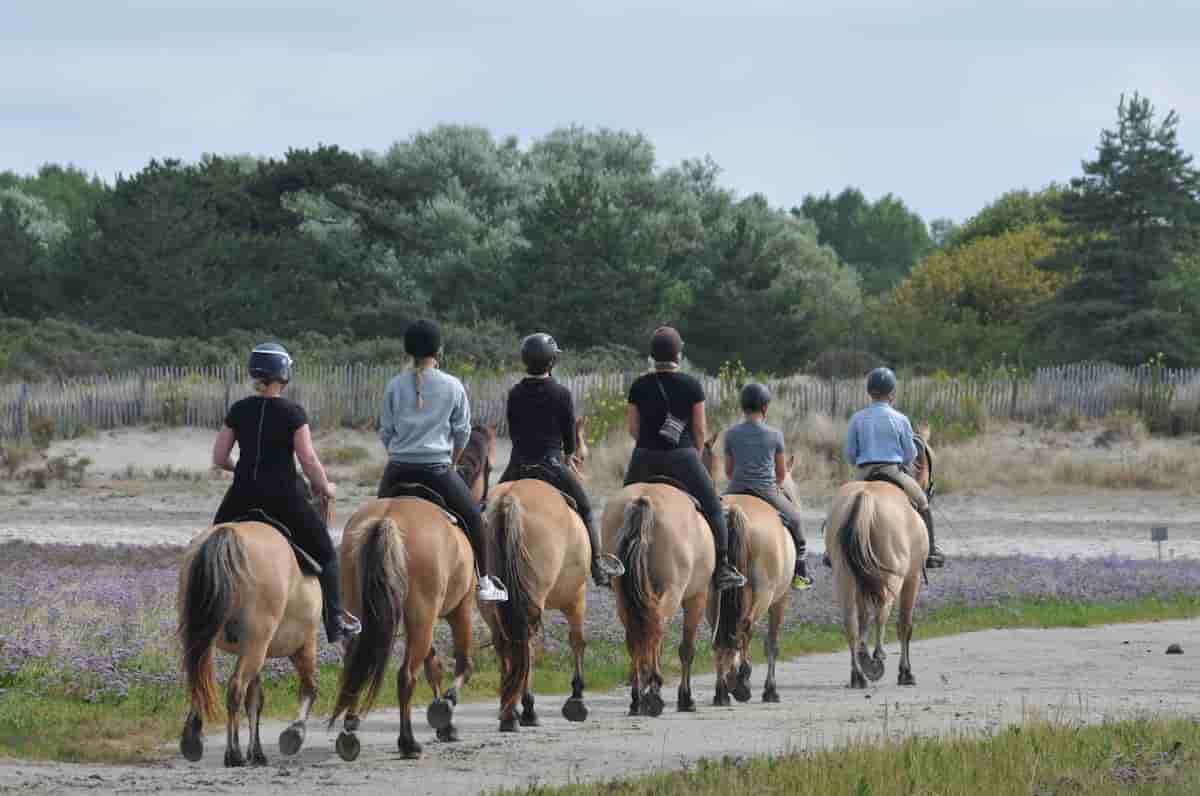 Tourisme en Baie de Somme