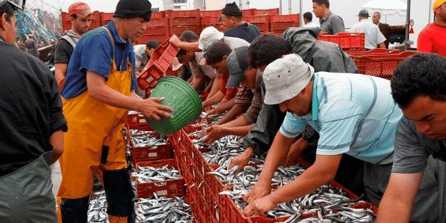pêche poisson Maroc