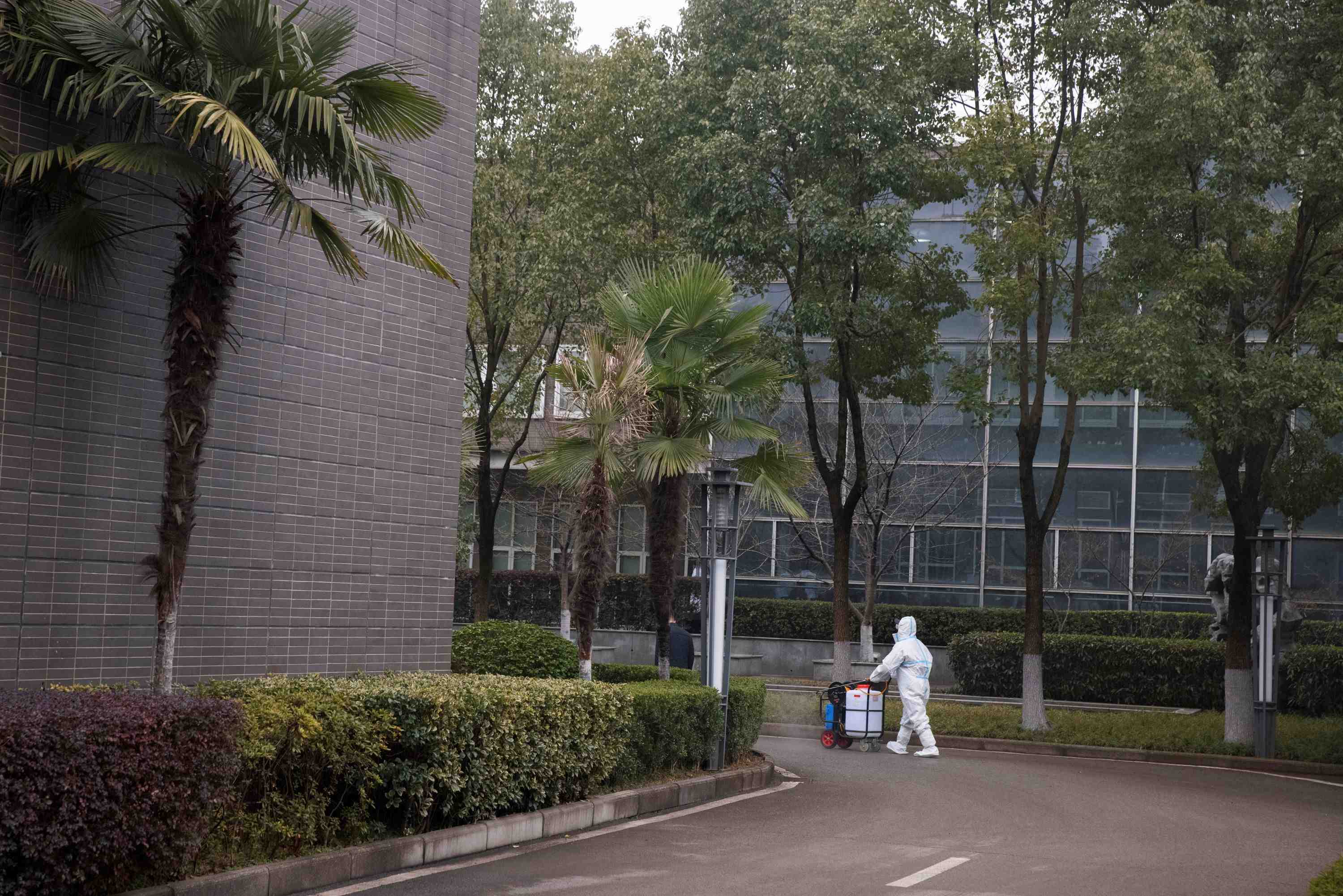 Coronavirus: la chine recense 30 nouvelles infections