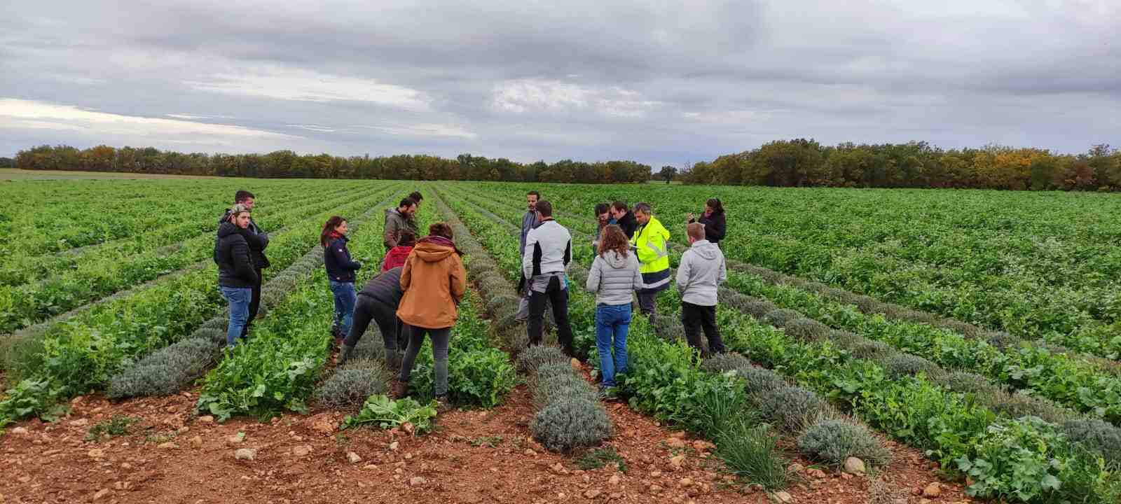 Regain : approche écosystémique de l'agriculture