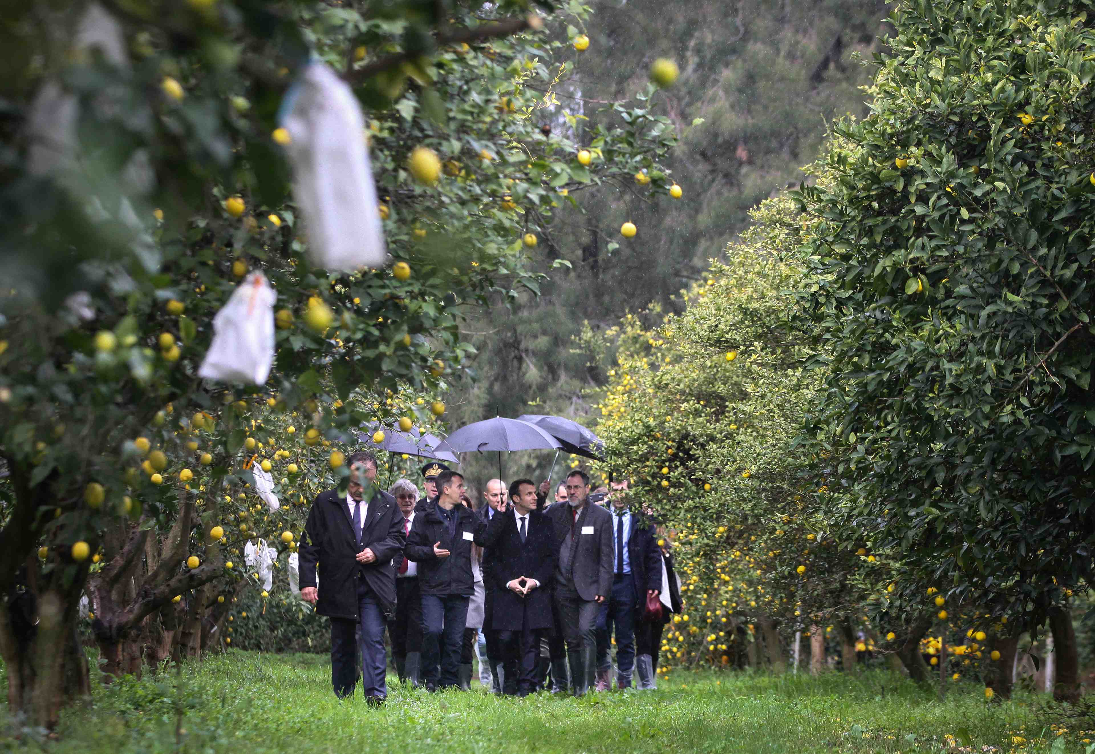 Corse: les elus nationalistes boycottent le dejeuner de macron