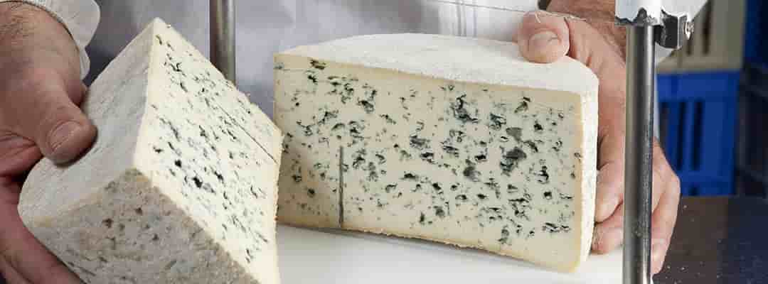 Bleu d'Auvergne