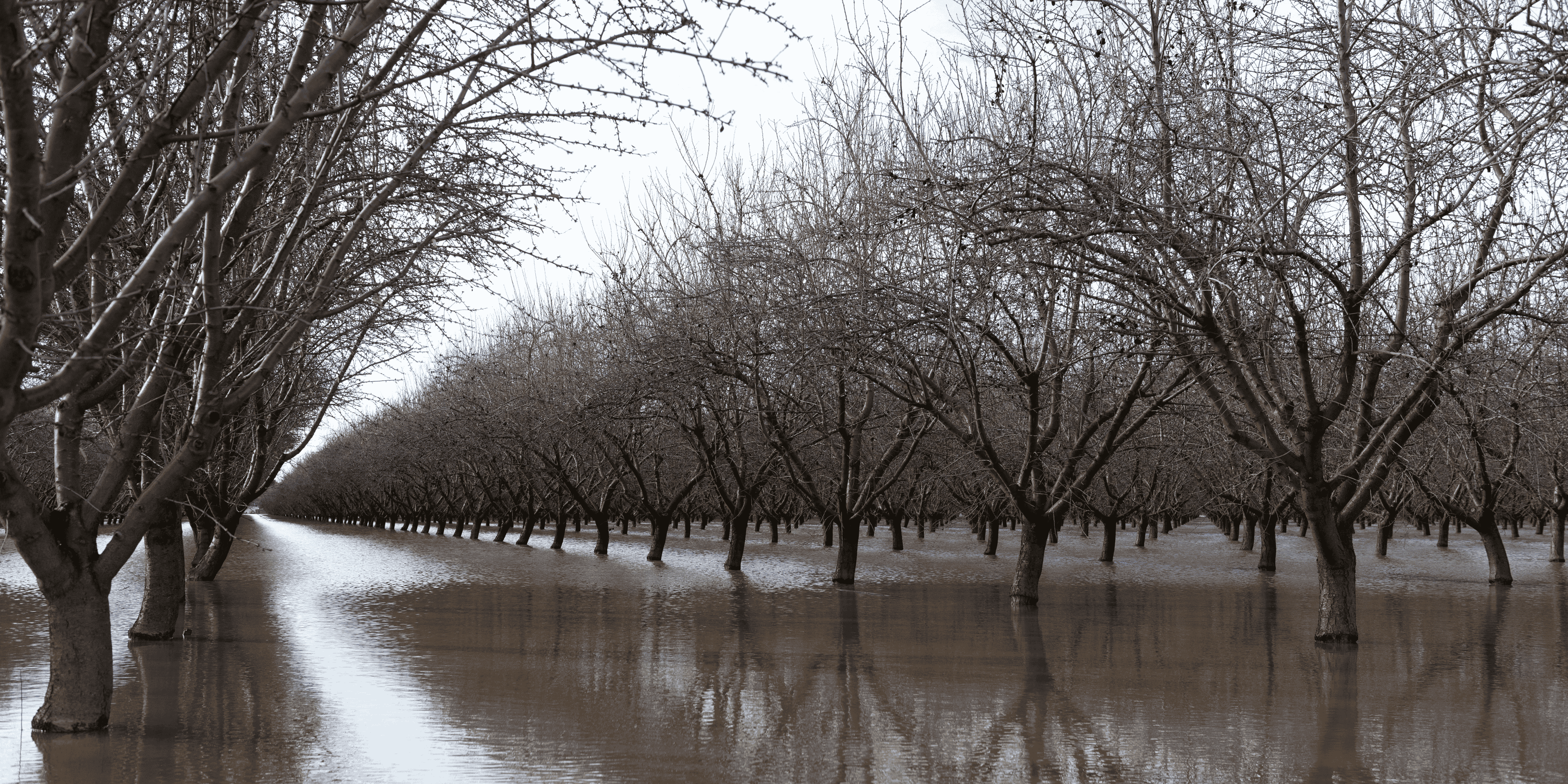 Des inondations frappent une zone residentielle dans le nord de la californie