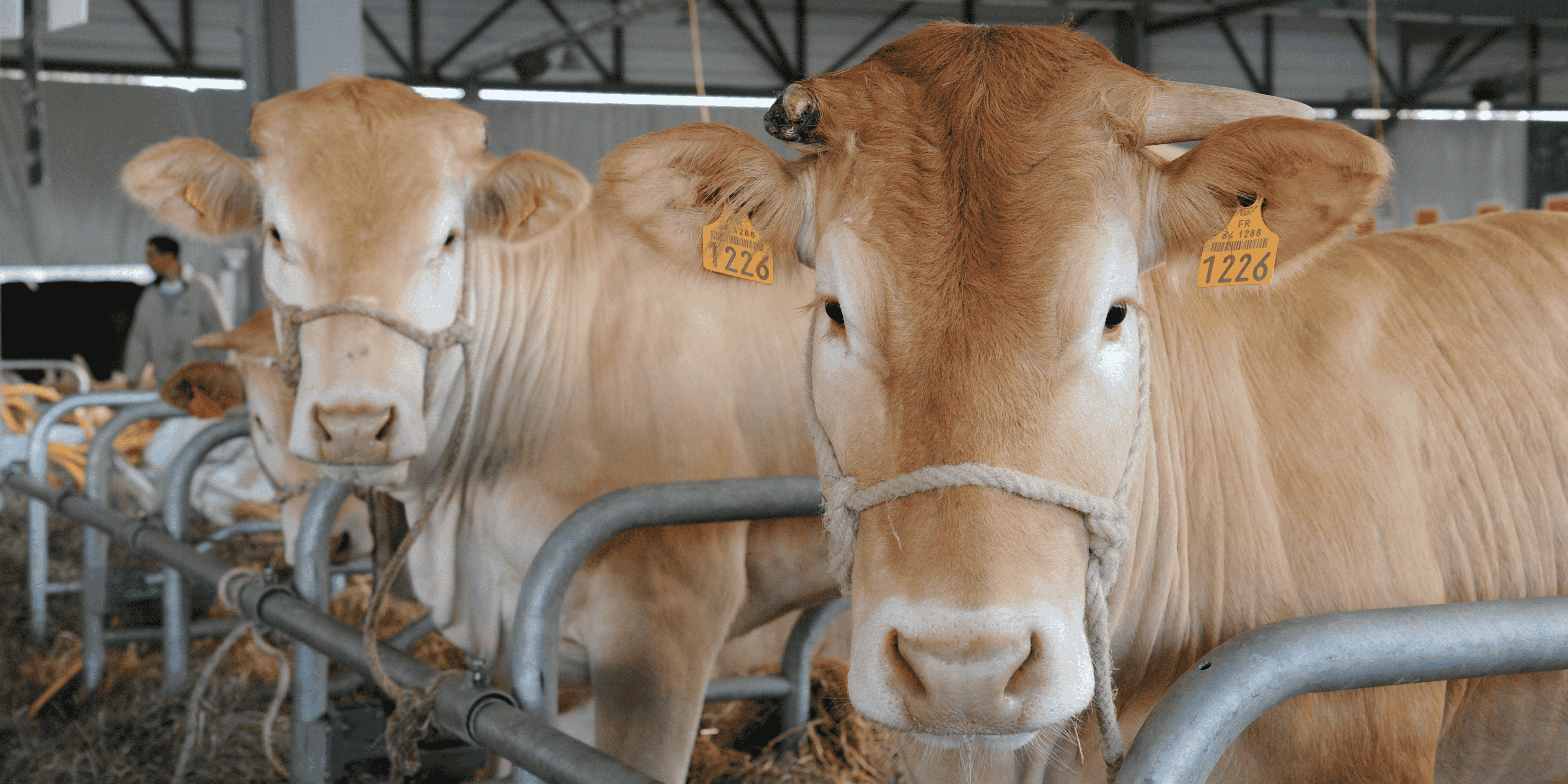 Salon de l'agriculture ALPC