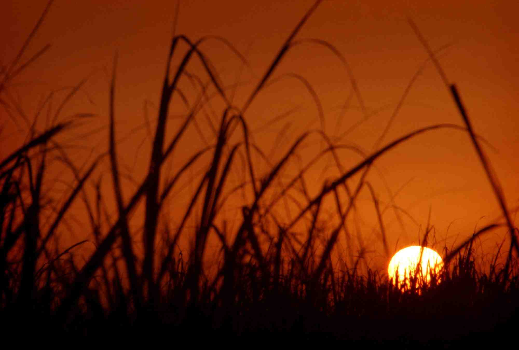 Photo d'archives du soleil prit de la ville d'ahvaz, en iran