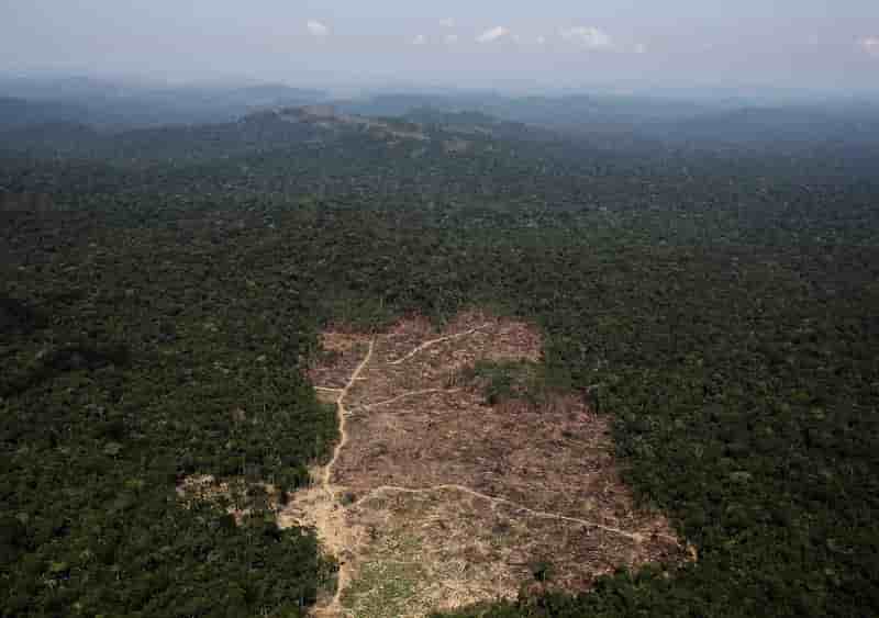Total: greenpeace epingle un projet a l'embouchure de l'amazone