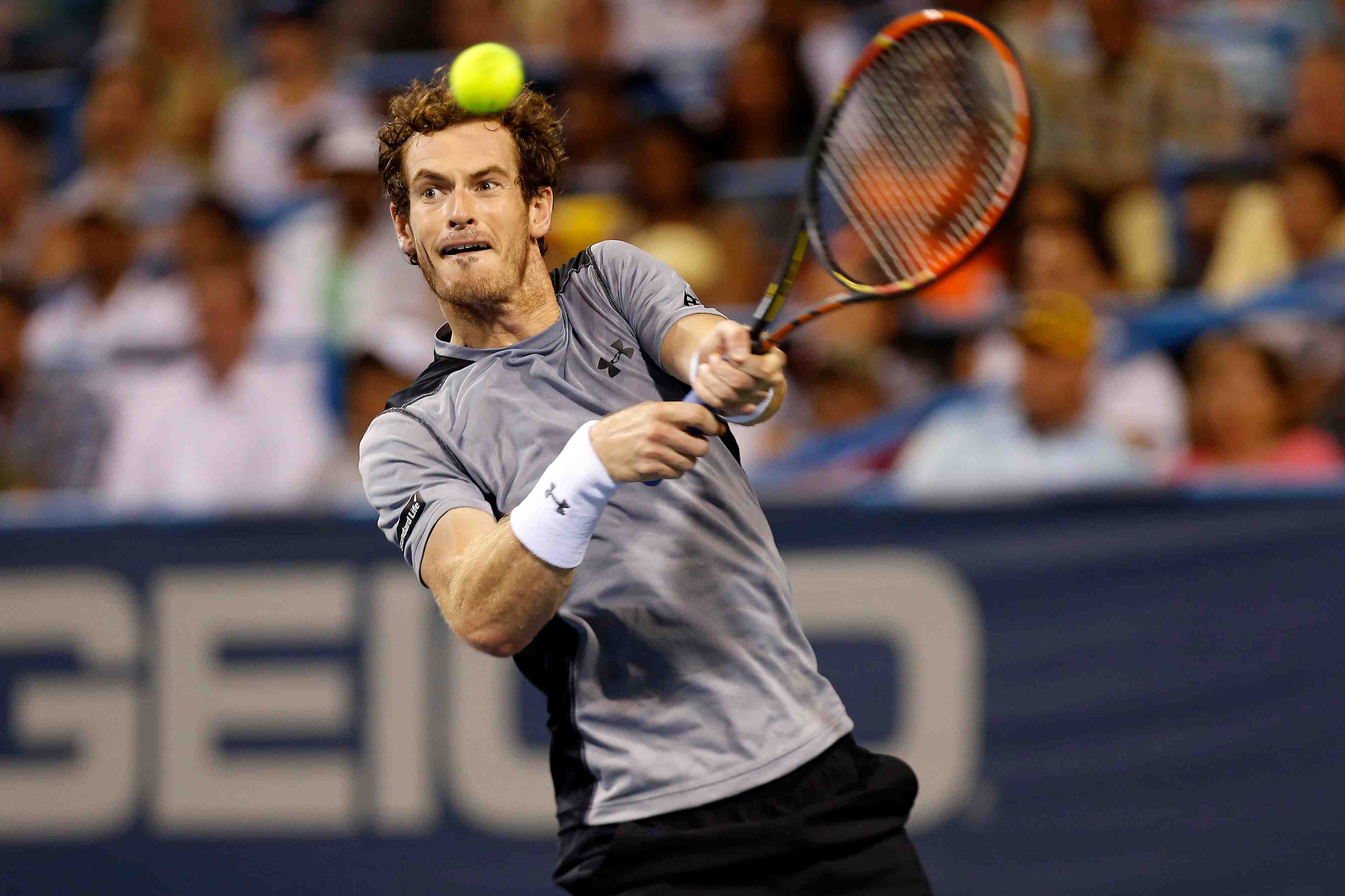 Andy murray manque son retour a washington