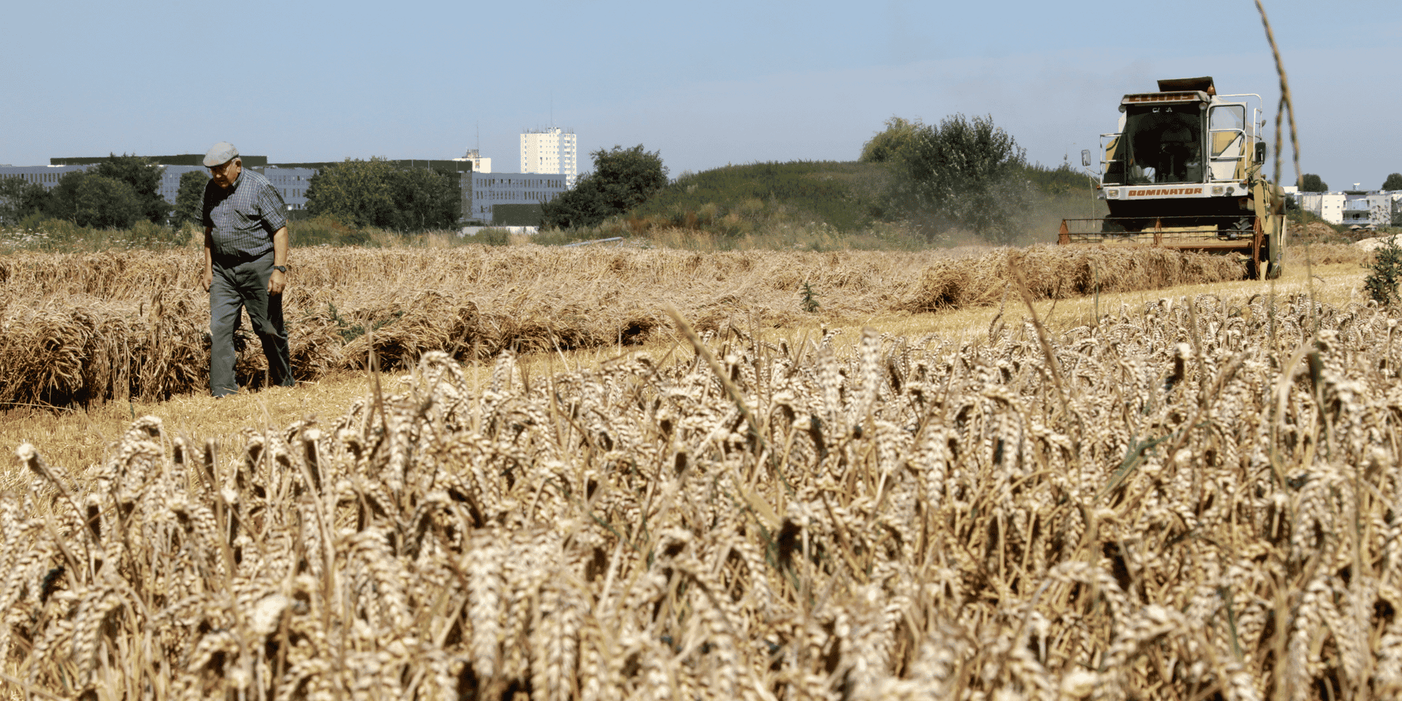 Le « projet de loi d'orientation pour la souveraineté en matière agricole et le renouvellement des générations en agriculture » sera examiné mercredi en Conseil des ministres.