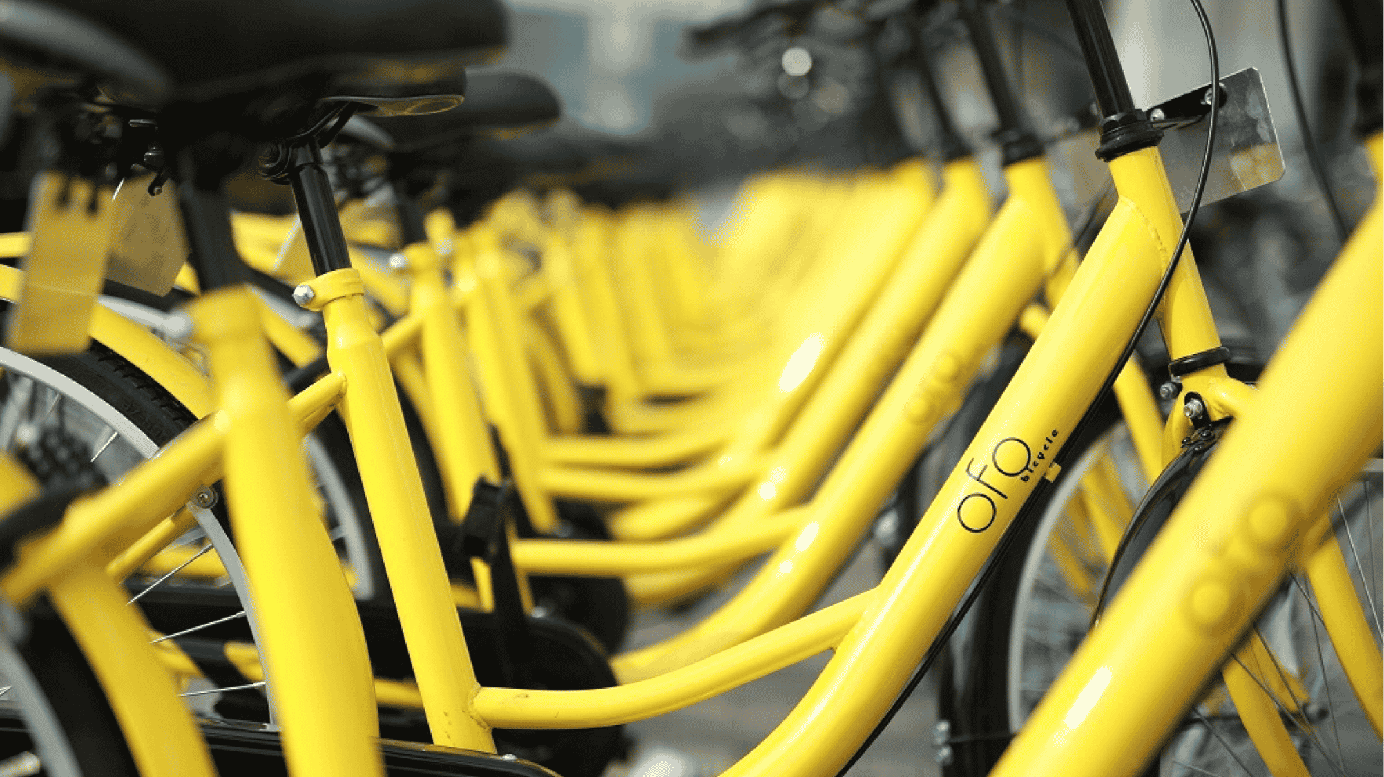 ofo