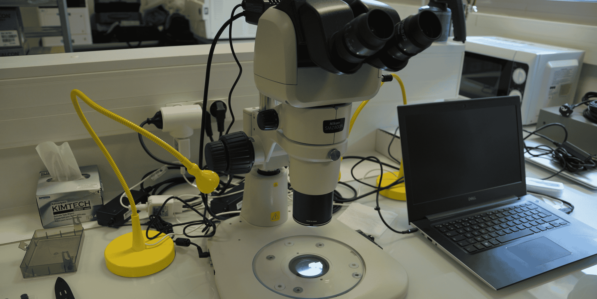 Treefrog Therapeutics Atelier 1