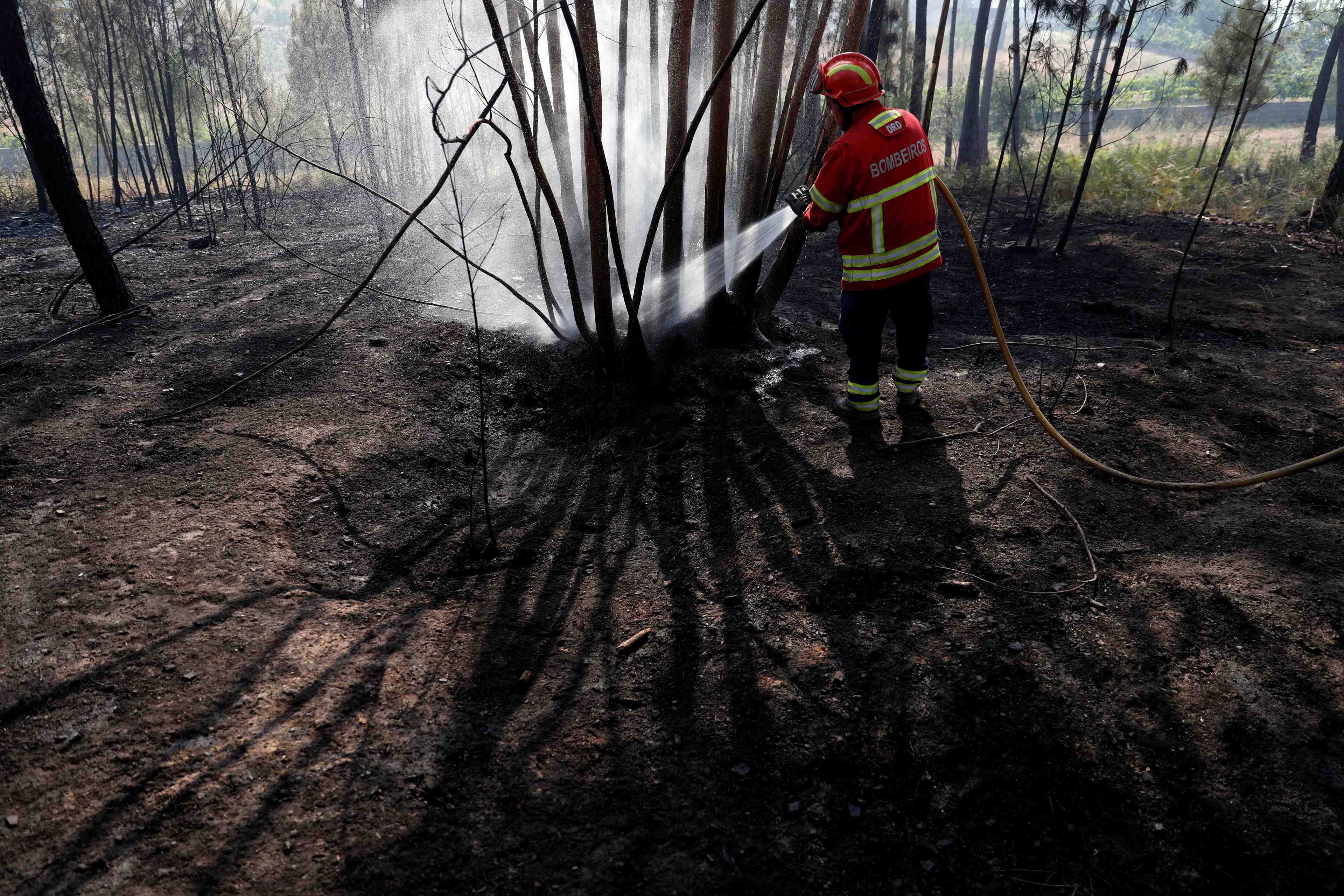 Les feux de foret du centre du portugal en partie sous controle