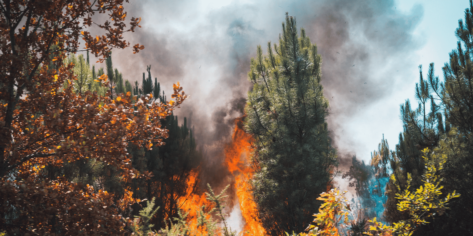 Incendie