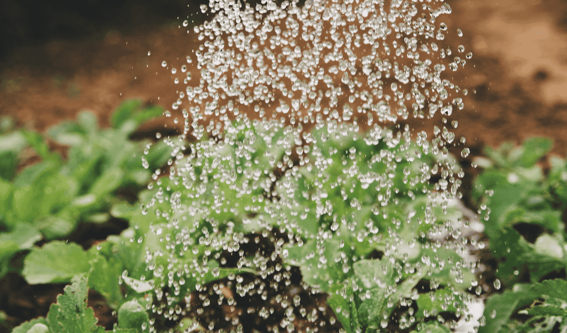 Agriculture eau