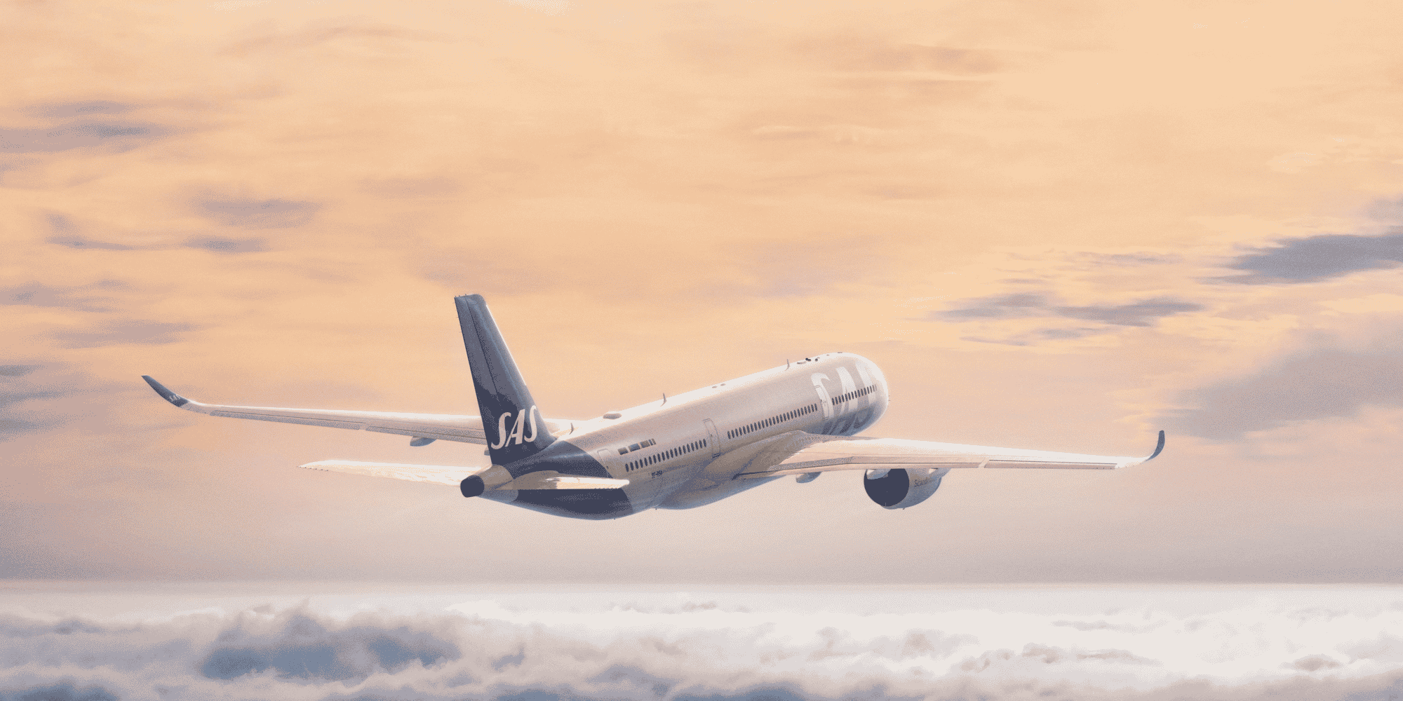 SAS va apporter une flotte de 138 appareils à Air France-KLM, dont une poignée d'Airbus A350.