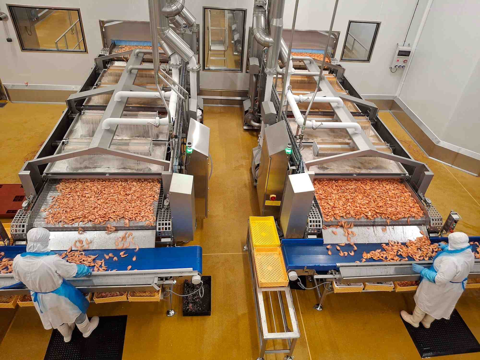 Dans son usine de production de crevettes près de Nantes, Labeyrie Fine Foods produit 7.000 tonnes par an.