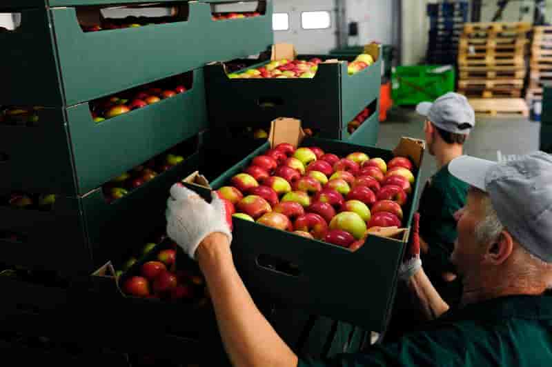 Moscou sanctionne les produits agricoles américains et européens