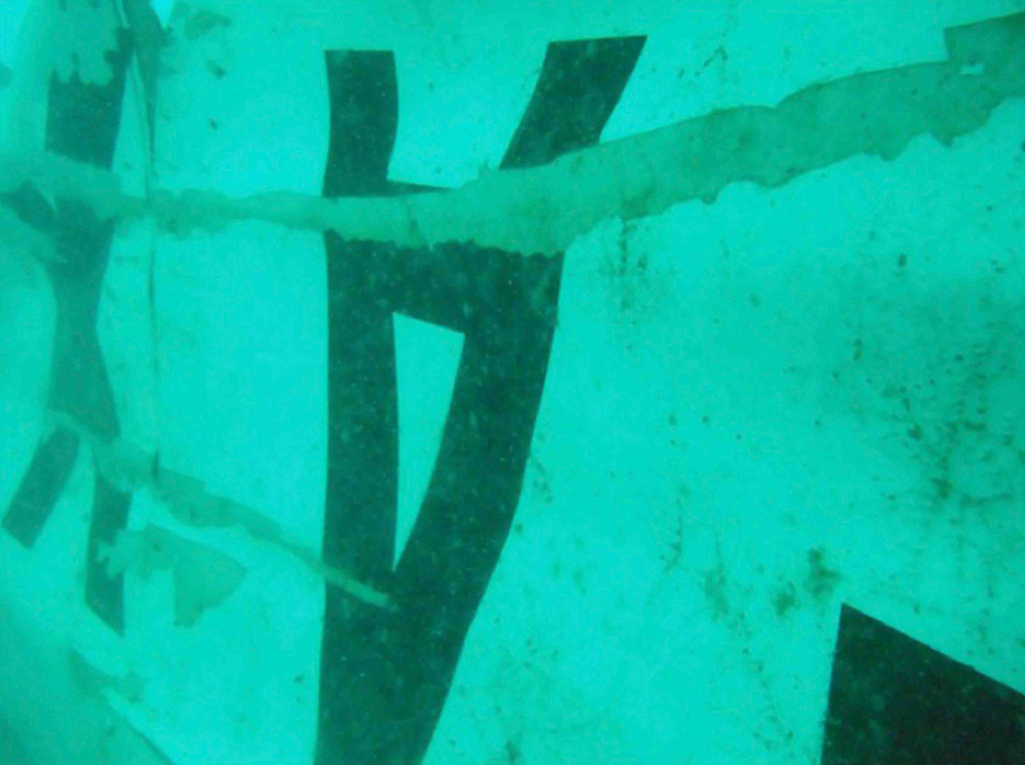 Des plongeurs a la recherche des boites noires de l’airbus d’airasia