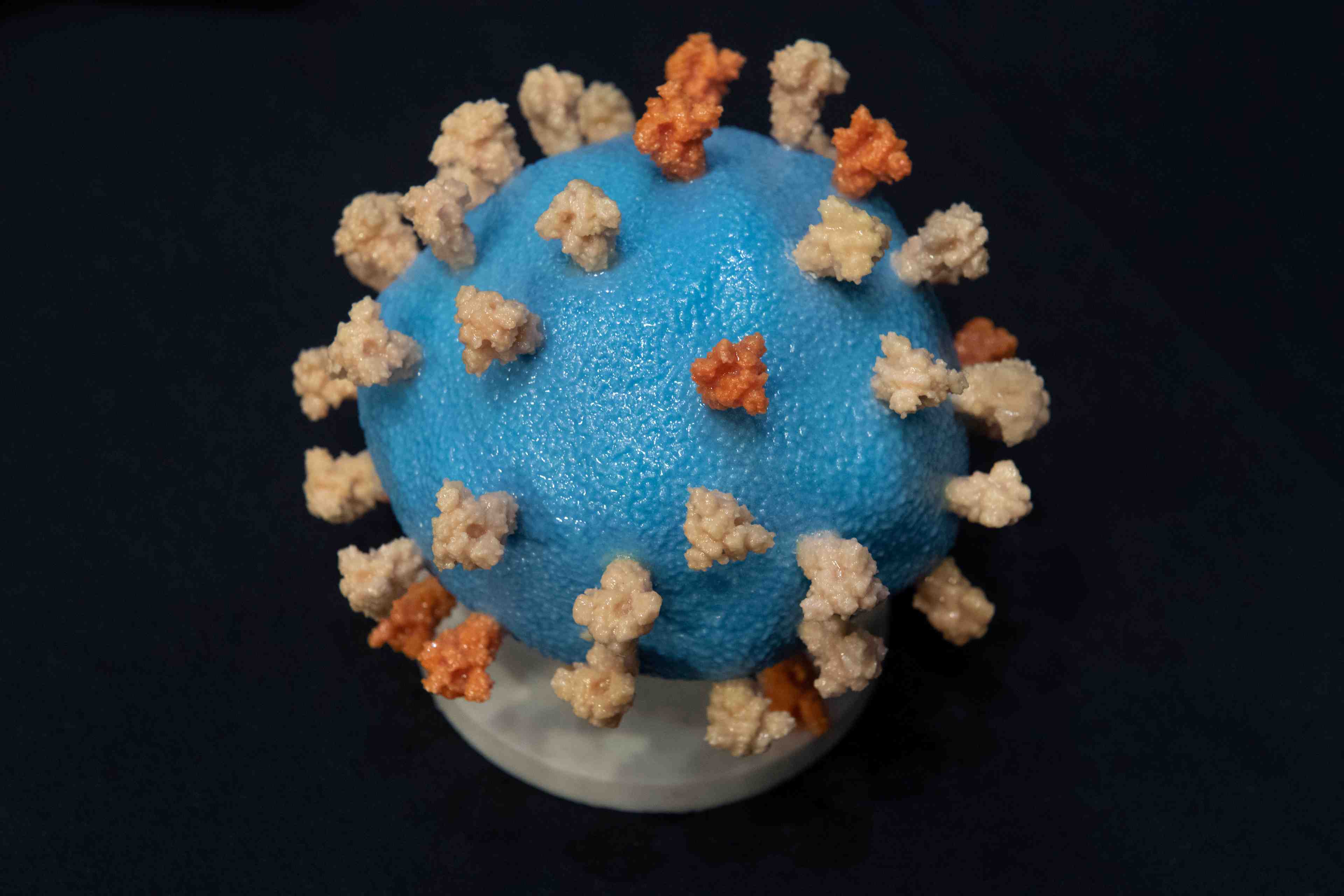 Coronavirus: financement record pour le laboratoire novavax en vue d'un vaccin
