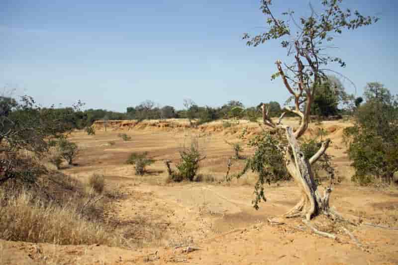 La france et ses allies forment officiellement la force takuba au sahel
