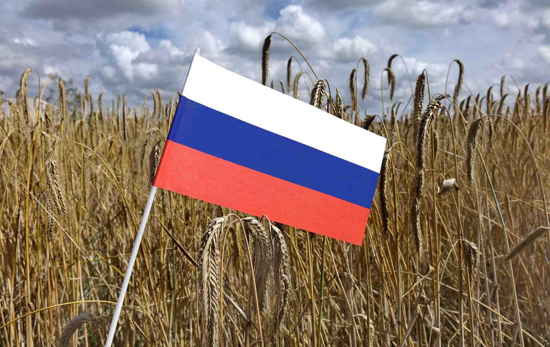 Malgré une production qui selon le ministère américain de l'agriculture (USDA) devrait s'établir à 85 millions de tonnes, un niveau un peu inférieur à celui de l'année dernière, les exportations russes devraient atteindre des niveaux records, autour de 49-50 millions de tonnes, conviennent les analystes.