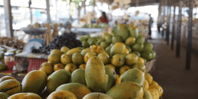 mangue