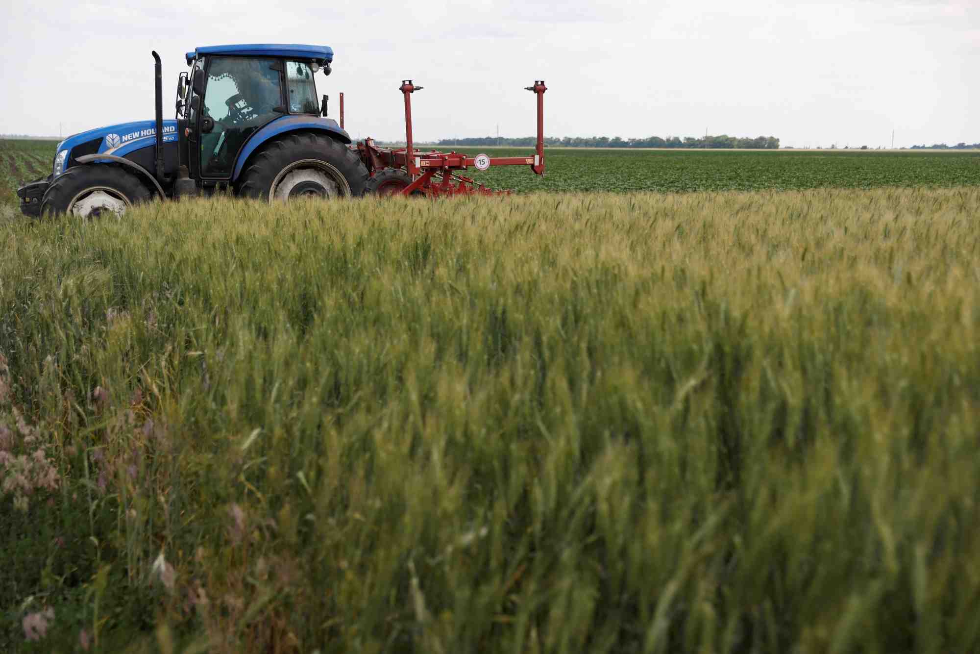 Ukraine: 11 a 19 millions de personnes menacees de famine dans le monde