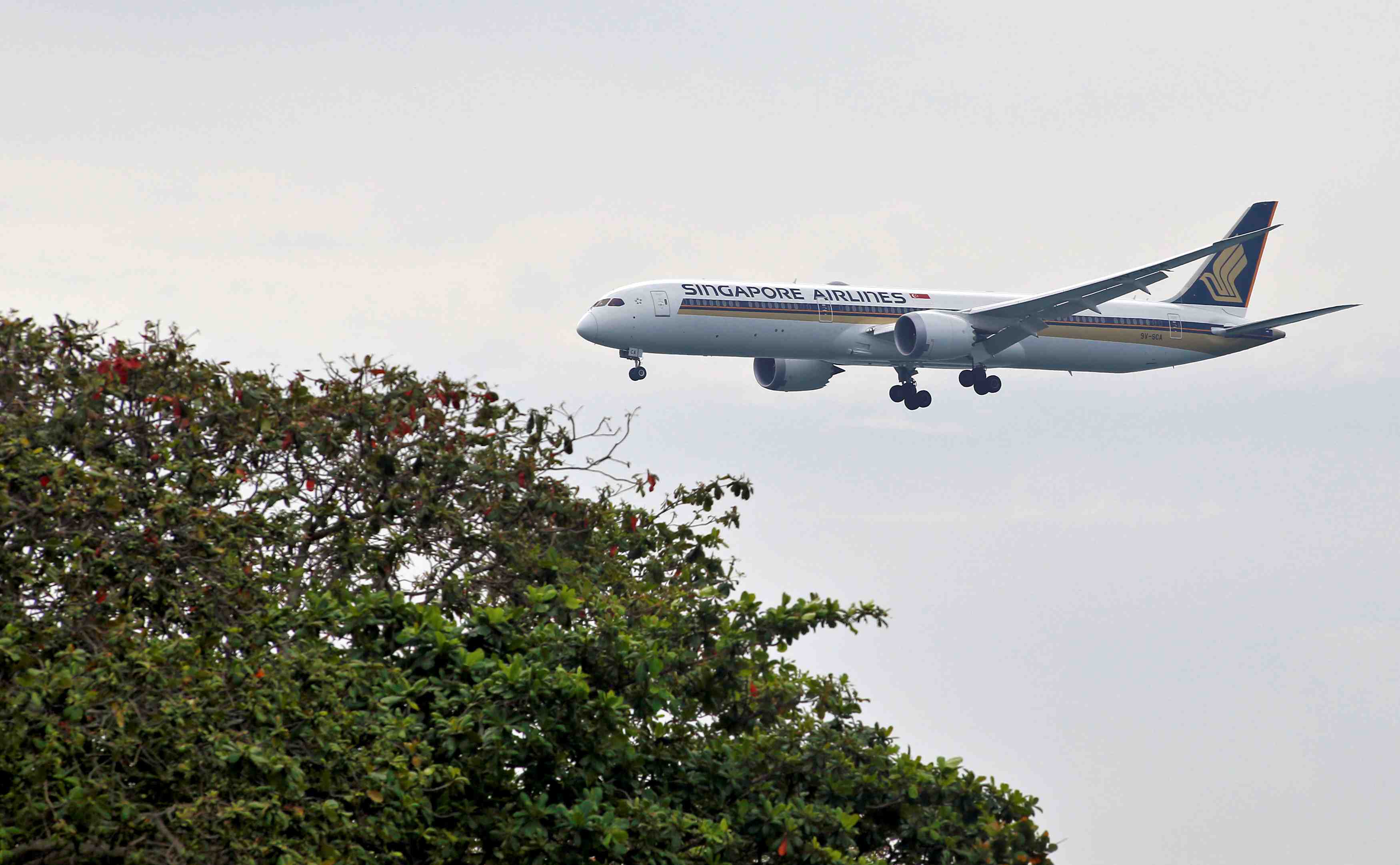 Singapore airlines signale des problemes de moteurs rolls royce