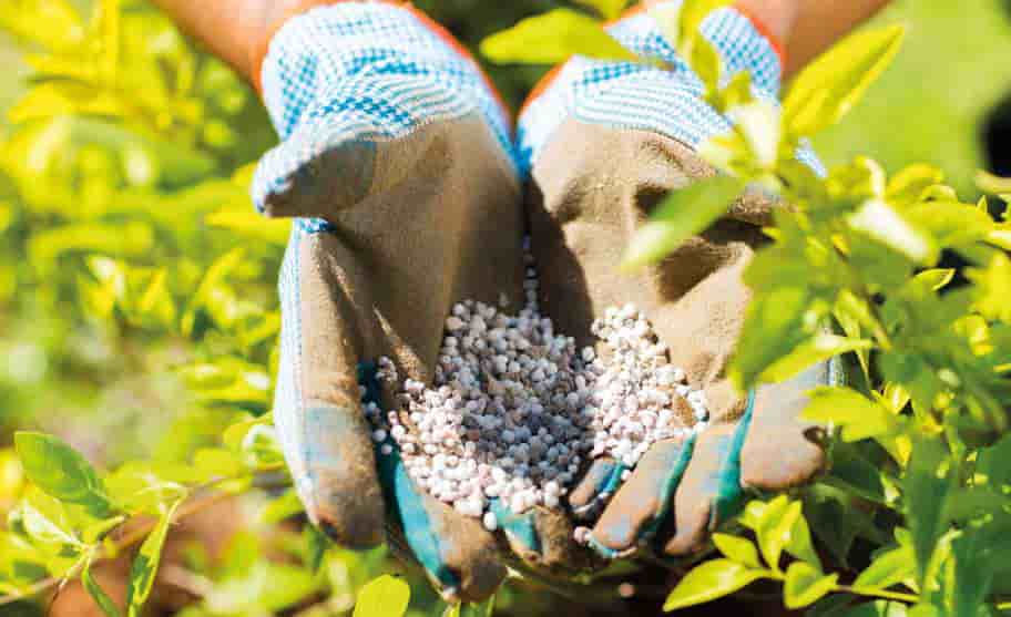 Agriculture engrais agriculteurs