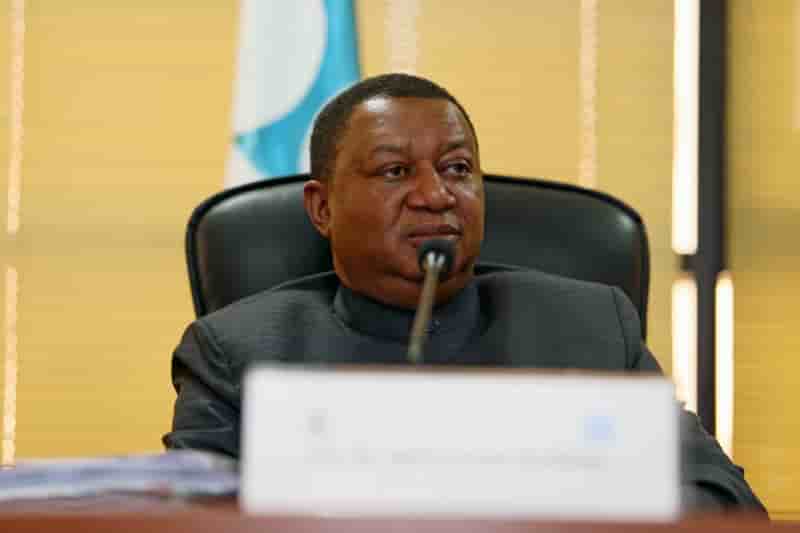 La baisse des capacites de reserve preoccupent l'opep, dit barkindo