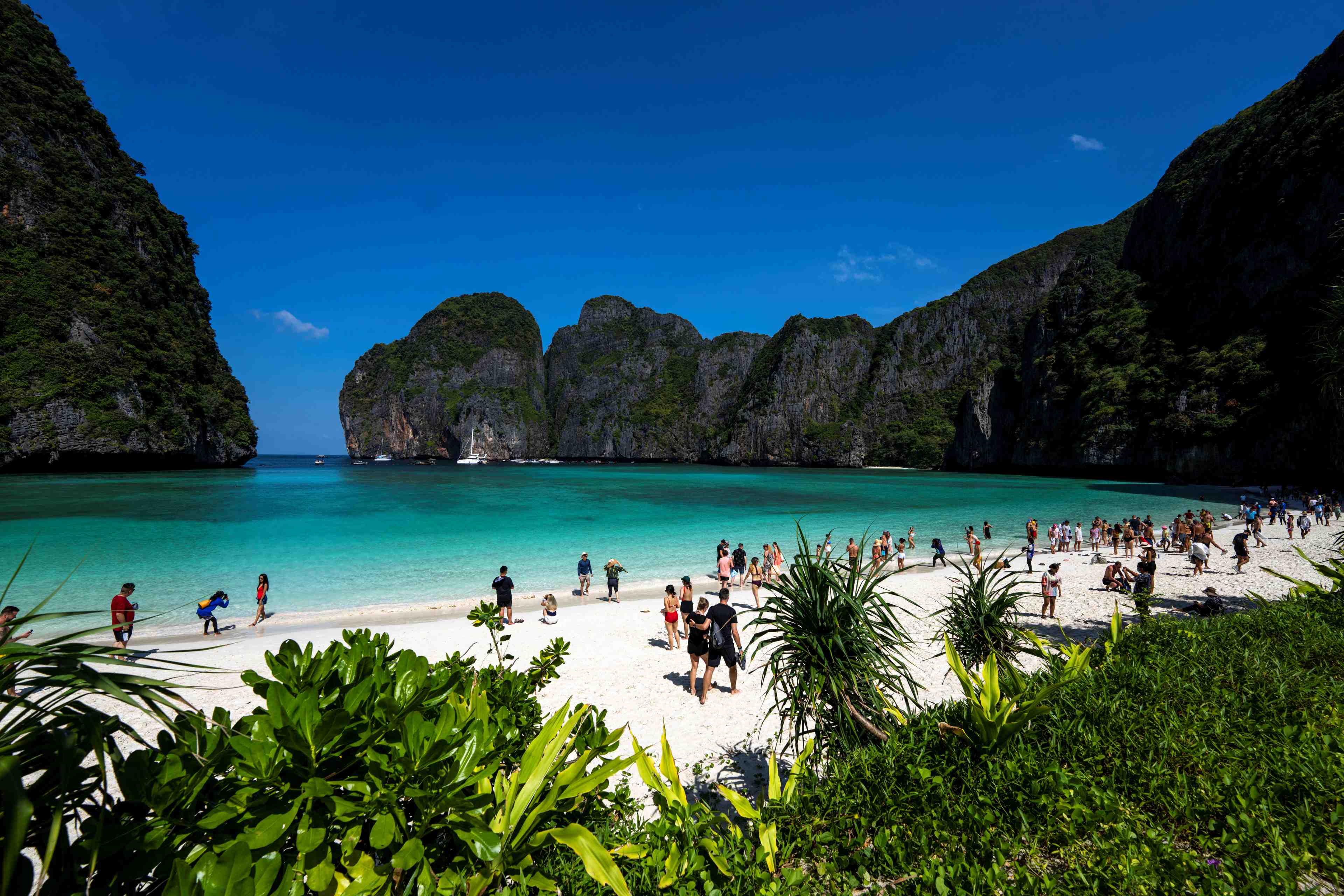 Thailande: la plage paradisiaque de maya bay rouvre aux visiteurs