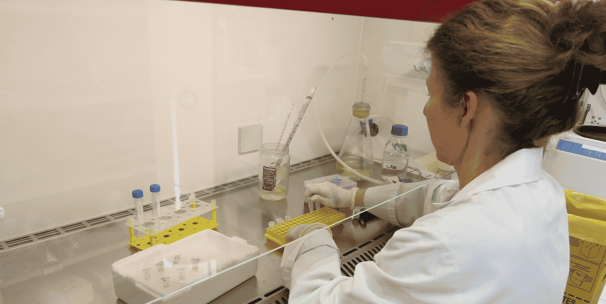 « Nous devons trouver 3 millions d'euros pour poursuivre les essais auprès de patients. Ce n'est pas de l''opportunisme, c'est quelque chose que l'on a scientifiquement en tête depuis longtemps, mais, sans moyens supplémentaires, ça risquerait de nuire à nos autres programmes en cours sur l'oncologie et les maladies nosocomiales», explique Odile Duvaux, fondatrice de la société de biotechnologie Xenothera.
