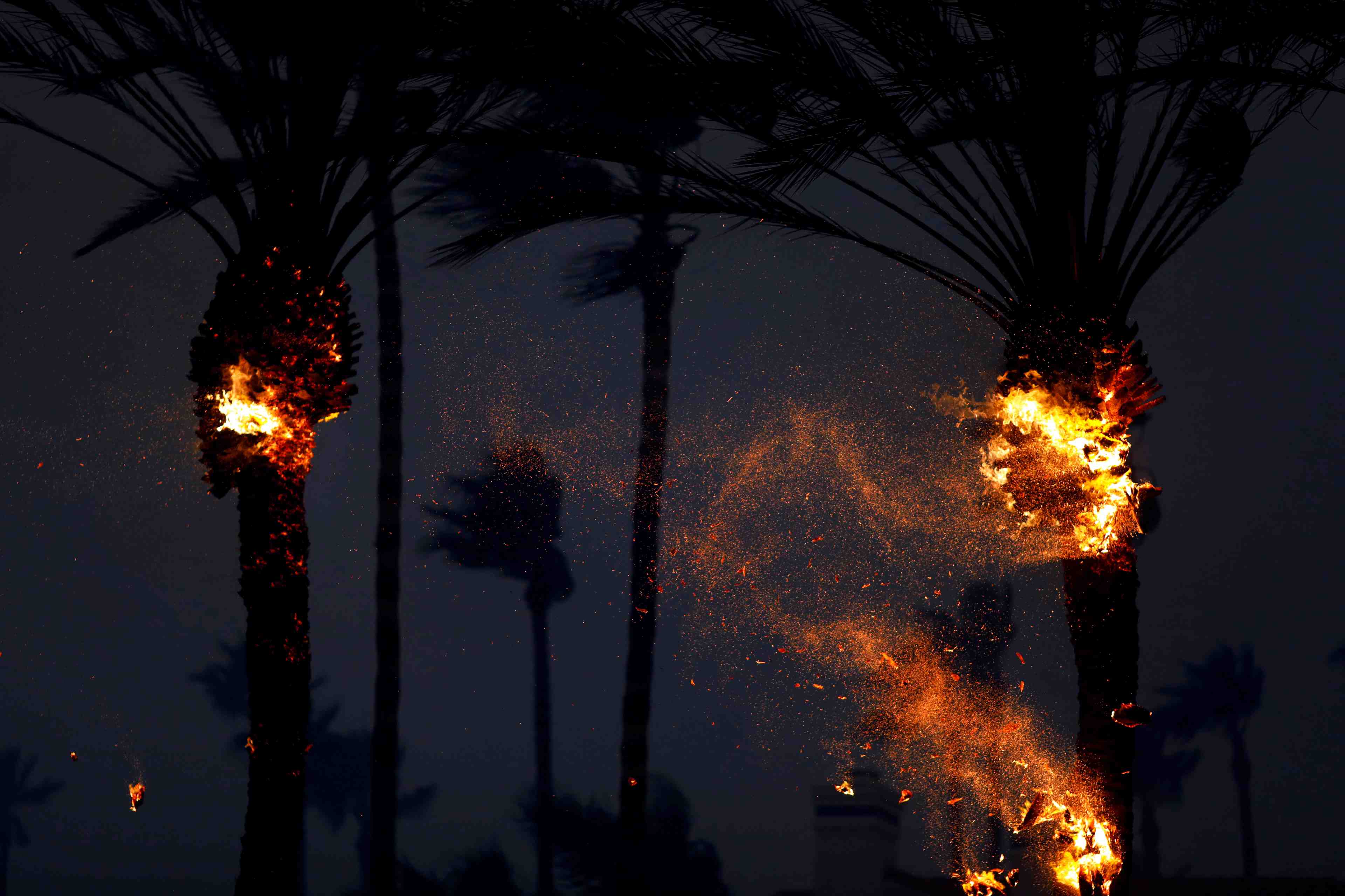 La californie ravagee par les flammes, neuf morts