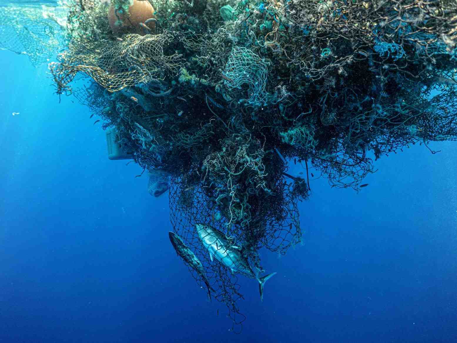 L’extraction minière dans les fonds marins pourrait endommager les écosystèmes marins de manière irréversible, selon les scientifiques.